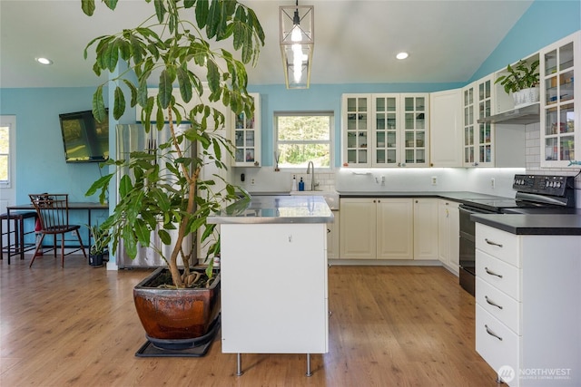 486 Wren Rd, Lopez Island, WA 98261 - kitchen featuring range with two ovens, light wood-type flooring, plenty of natural light, and a sink