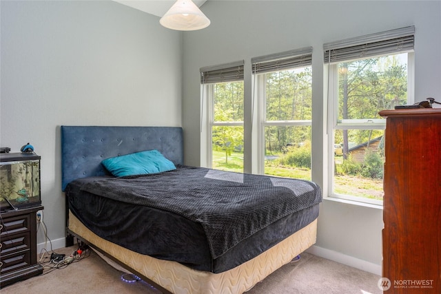 486 Wren Rd, Lopez Island, WA 98261 - carpeted bedroom with multiple windows and baseboards