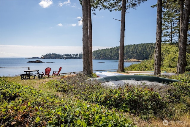 486 Wren Rd, Lopez Island, WA 98261 - property view of water