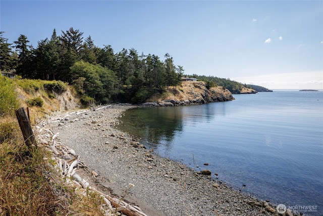 486 Wren Rd, Lopez Island, WA 98261 - property view of water