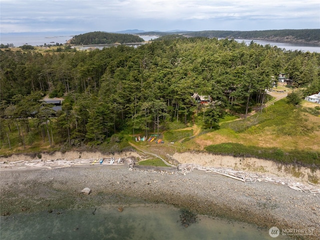 486 Wren Rd, Lopez Island, WA 98261 - drone / aerial view with a wooded view and a water view
