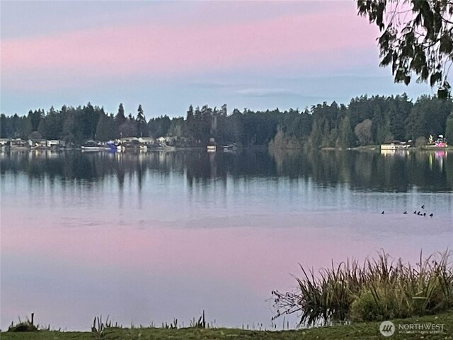 property view of water with a view of trees
