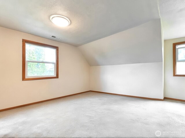 additional living space featuring visible vents, carpet, lofted ceiling, and baseboards