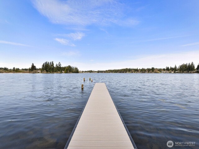 dock area featuring a water view