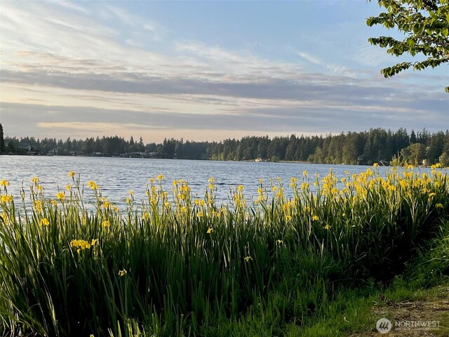 water view featuring a wooded view