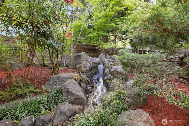 view of local wilderness