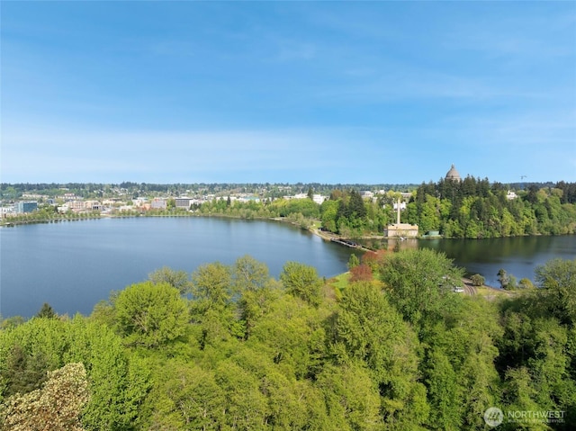 property view of water featuring a forest view