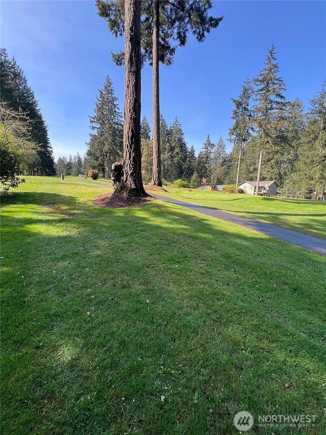 10702 Pioneer Dr, Anderson Island, WA 98303