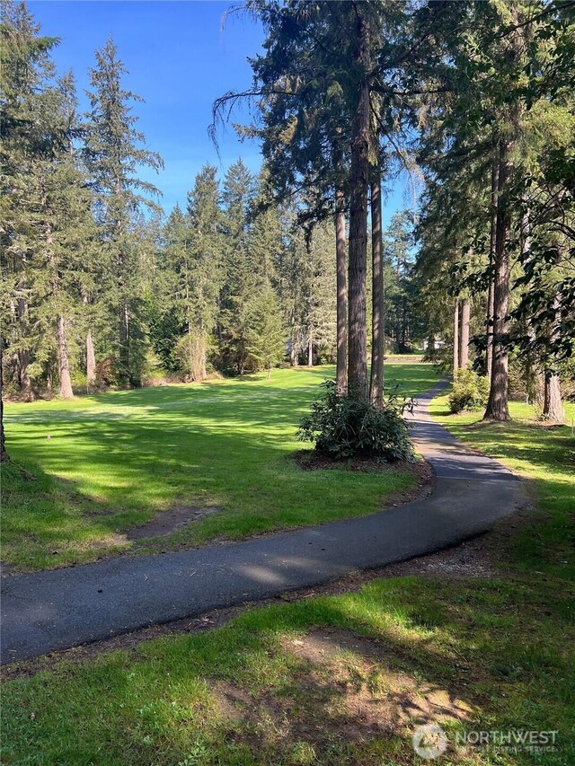 10702 Pioneer Dr, Anderson Island, WA 98303