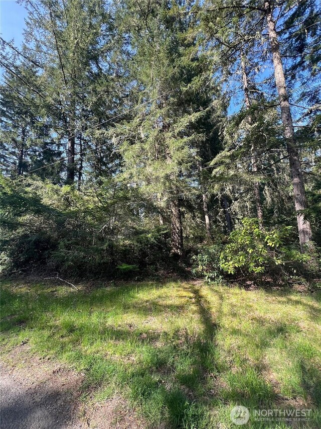 10702 Pioneer Dr, Anderson Island, WA 98303