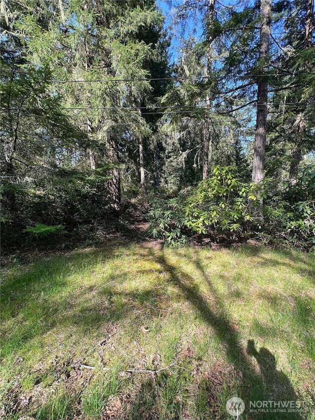 10702 Pioneer Dr, Anderson Island, WA 98303