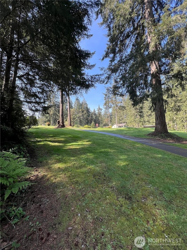 10702 Pioneer Dr, Anderson Island, WA 98303