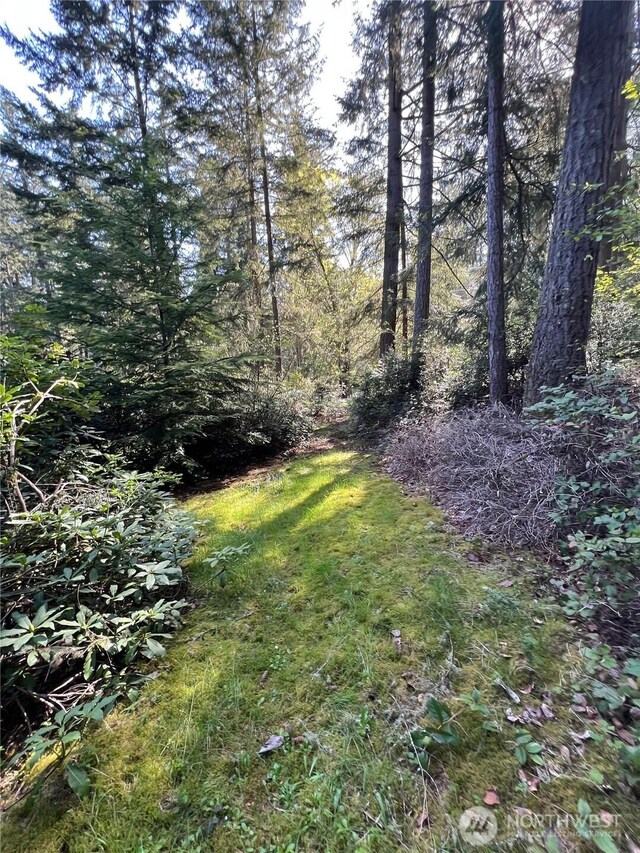 10702 Pioneer Dr, Anderson Island, WA 98303