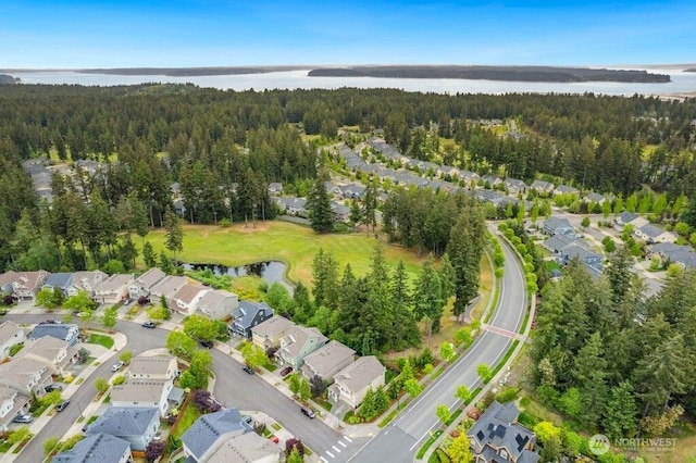 4000 Cameron Dr NE, Lacey, WA 98516 - aerial view of property's location with nearby suburban area