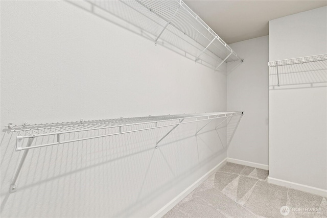 4000 Cameron Dr NE, Lacey, WA 98516 - spacious closet with light carpet