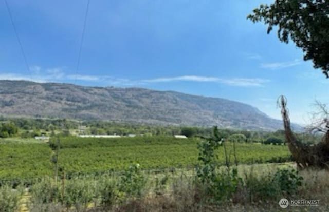 mountain view featuring a rural view