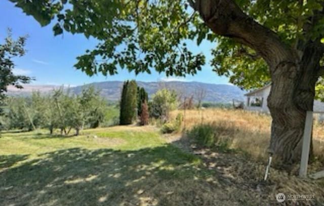view of yard featuring a mountain view