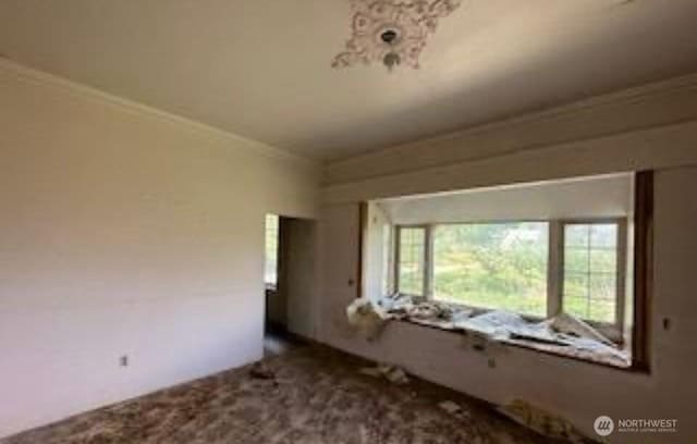 spare room featuring carpet flooring