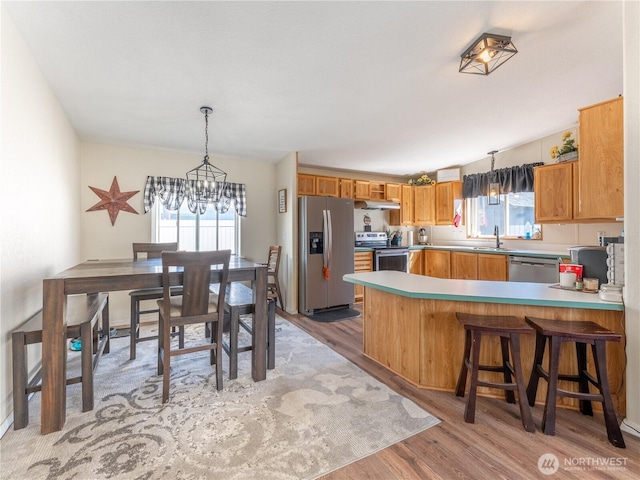 105 3rd St SW, Rock Island, WA 98850 - kitchen with appliances with stainless steel finishes, a sink, a peninsula, light wood-type flooring, and under cabinet range hood