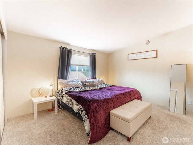 105 3rd St SW, Rock Island, WA 98850 - bedroom with carpet floors