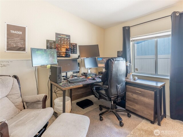 105 3rd St SW, Rock Island, WA 98850 - office area with carpet flooring and vaulted ceiling