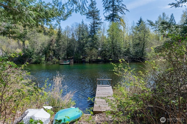 6331 Overland Trl, Maple Falls, WA 98266 - photo 25