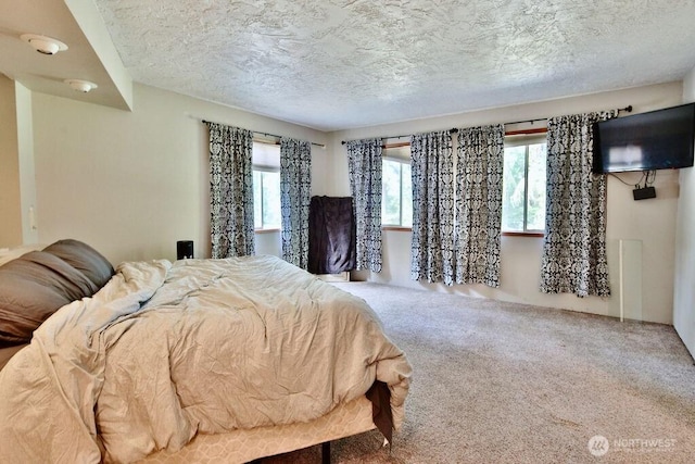 70 Shadow Trl, Sequim, WA 98382 - bedroom with a textured ceiling and carpet floors