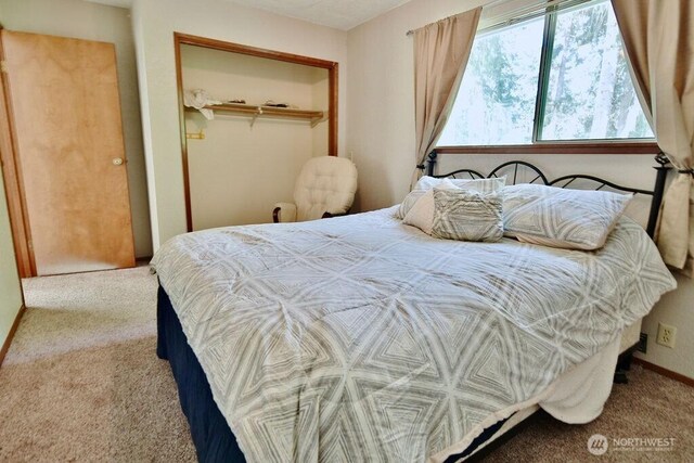 70 Shadow Trl, Sequim, WA 98382 - carpeted bedroom with a closet