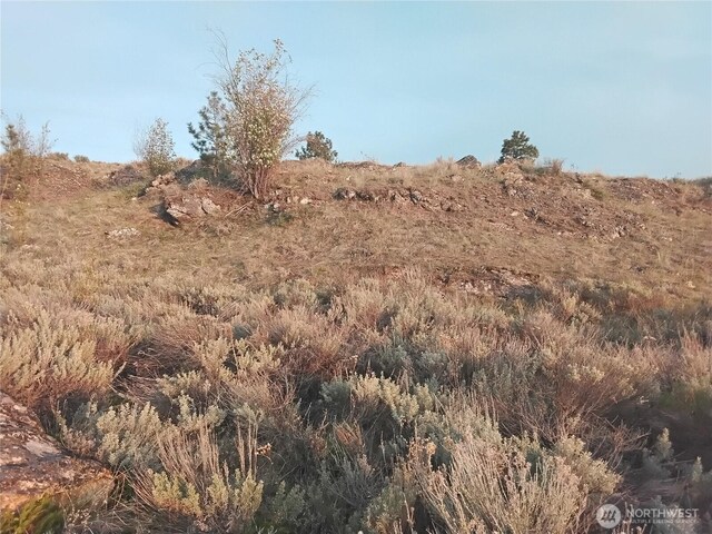 0 Paradise Point Rd, Tonasket, WA 98855 - photo 5