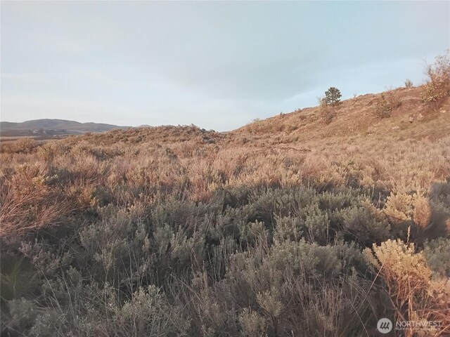 0 Paradise Point Rd, Tonasket, WA 98855 - photo 6