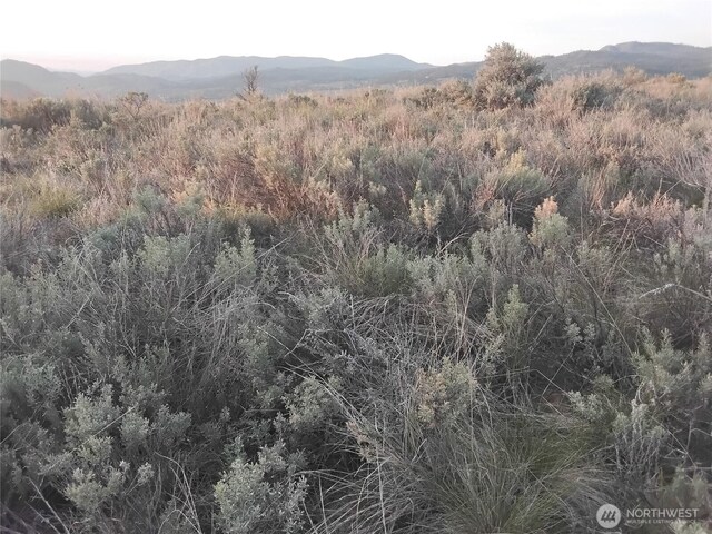 0 Paradise Point Rd, Tonasket, WA 98855 - photo 7