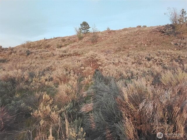 0 Paradise Point Rd, Tonasket, WA 98855 - photo 10