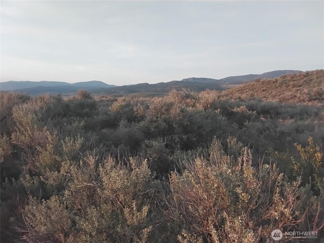 0 Paradise Point Rd, Tonasket, WA 98855 - photo 11