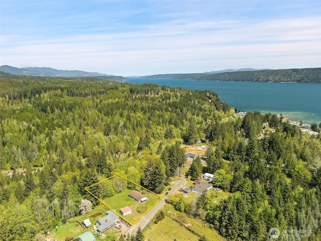 bird's eye view featuring a water and mountain view and a wooded view
