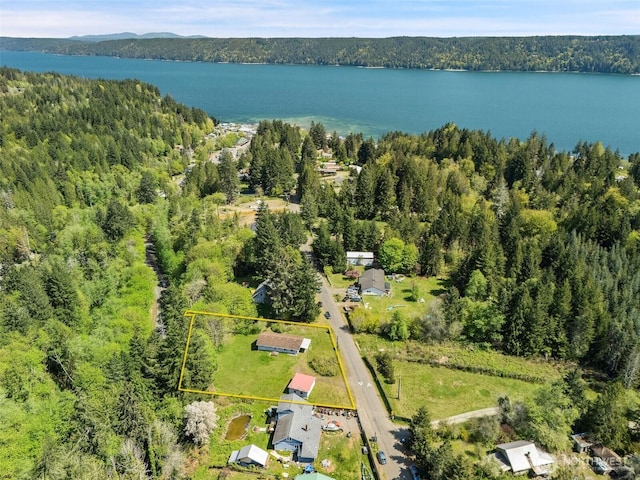 bird's eye view featuring a water and mountain view and a view of trees