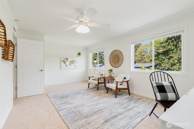 carpeted home office with crown molding, ceiling fan, and baseboards