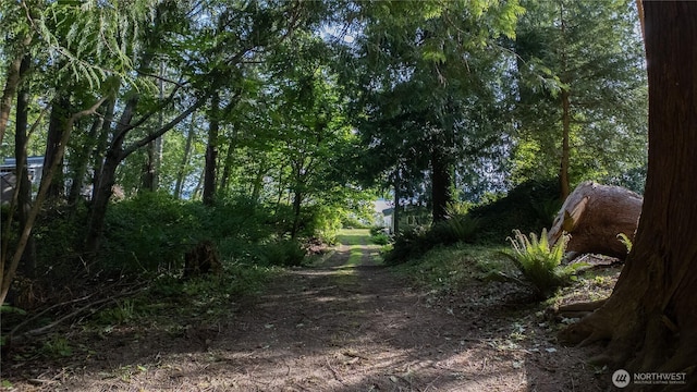 36 K Beach Way, Hat Island, WA 98206 - view of nature