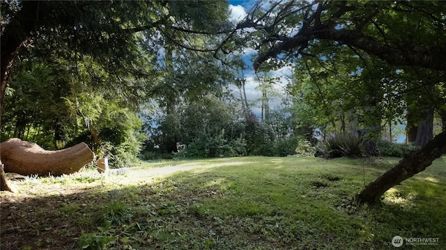 36 K Beach Way, Hat Island, WA 98206 - view of undeveloped land
