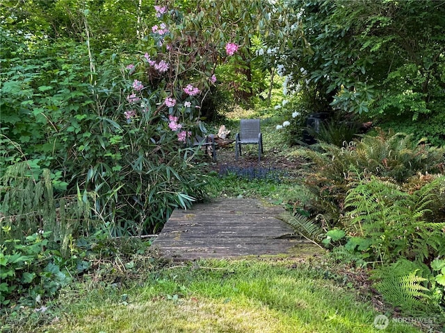 36 K Beach Way, Hat Island, WA 98206 - view of yard