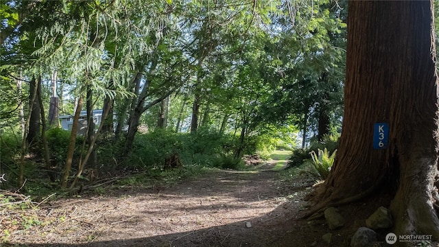 36 K Beach Way, Hat Island, WA 98206 - view of local wilderness