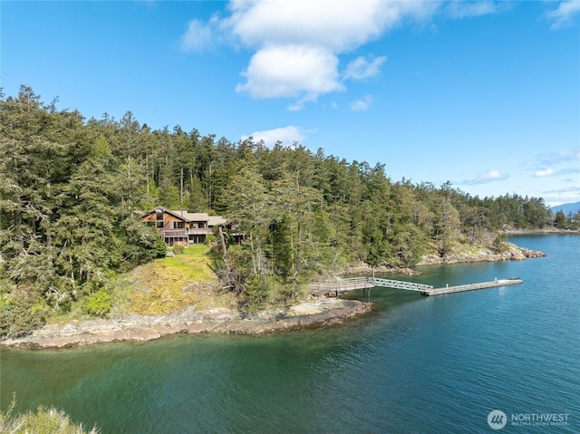 bird's eye view with a water view and a forest view