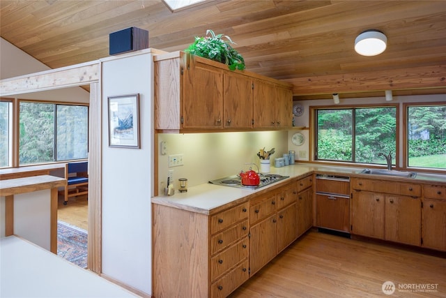 kitchen with wooden ceiling, light wood-type flooring, stainless steel electric cooktop, and a sink