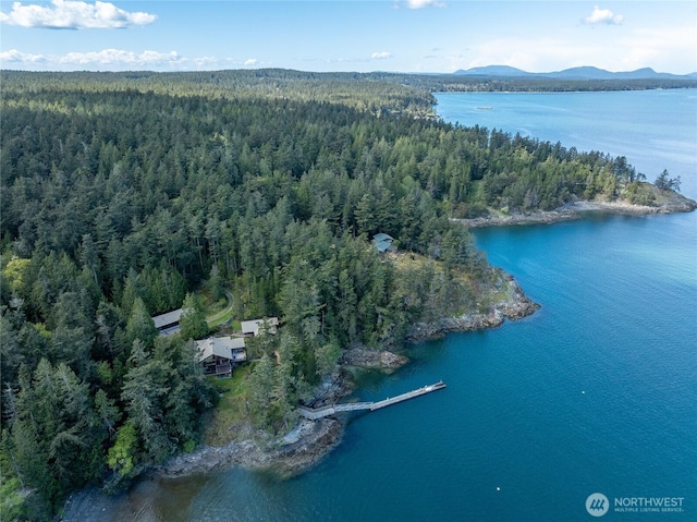 aerial view with a water and mountain view and a view of trees