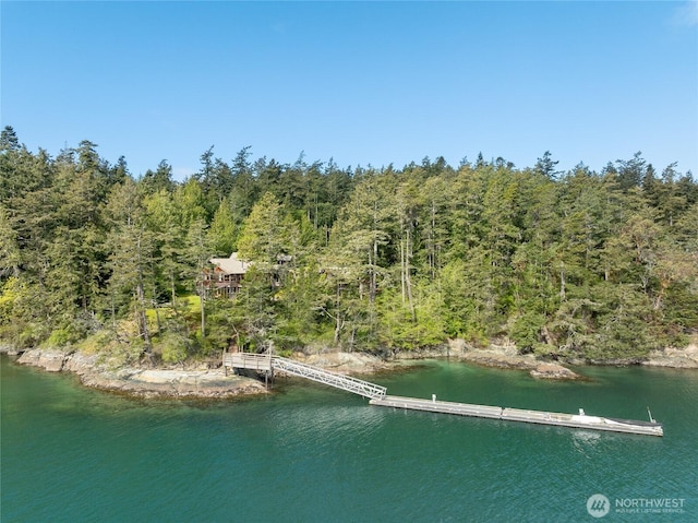 bird's eye view with a water view and a view of trees