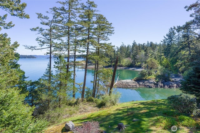 water view