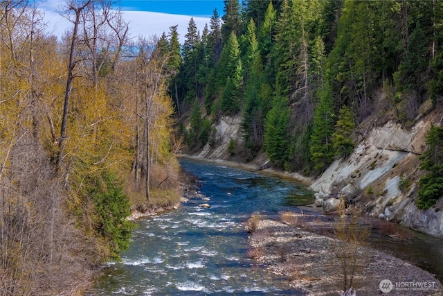 property view of water with a forest view
