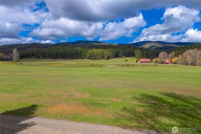 property view of mountains with a wooded view