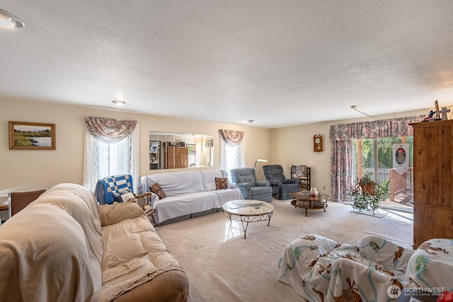 living room with a textured ceiling and carpet