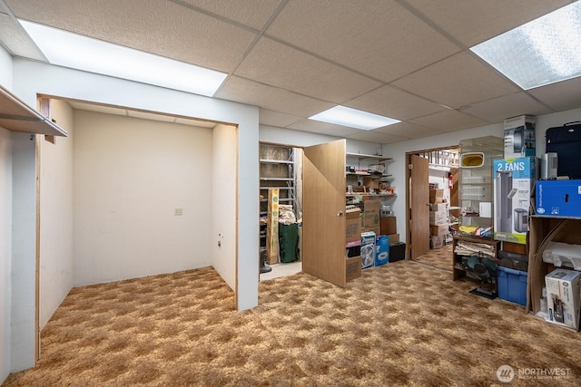 finished basement featuring a drop ceiling and carpet floors