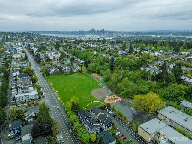 drone / aerial view